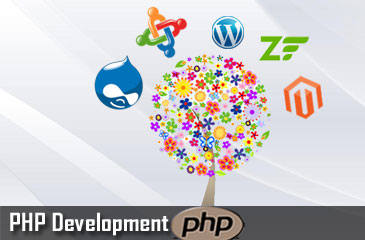 PHP Development